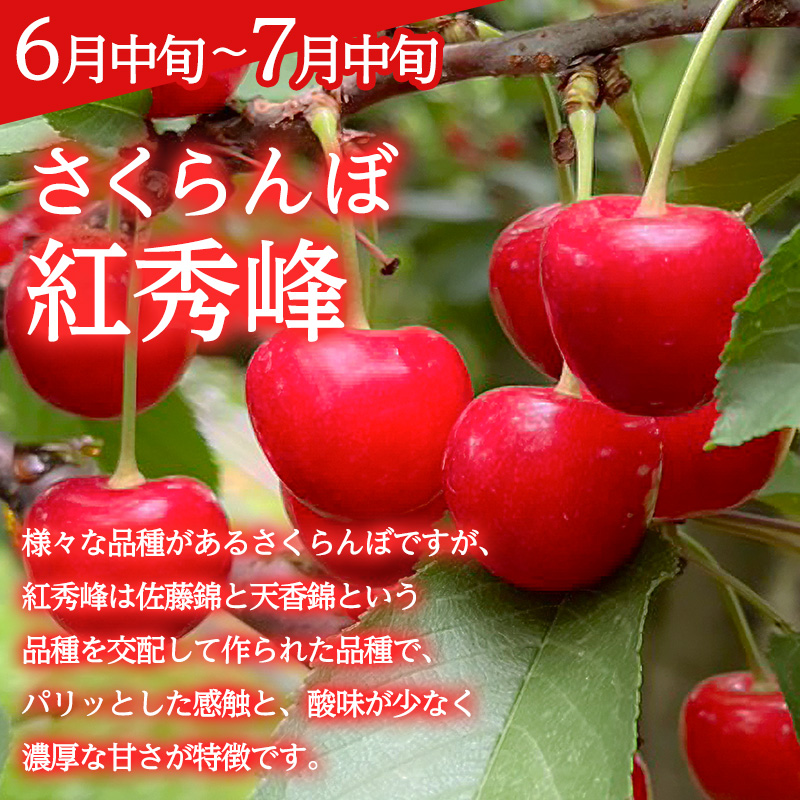 【定期便3回】みのりの山形～紅秀峰を味わう食べつくし定期便～ くだもの 果物 フルーツ 山形 山形県 山形市 FY23-907
