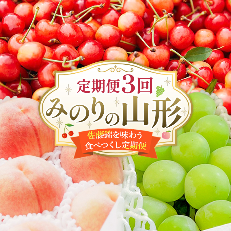 【定期便3回】みのりの山形～佐藤錦を味わう食べつくし定期便～くだもの 果物 フルーツ 山形 山形県 山形市 FY23-908