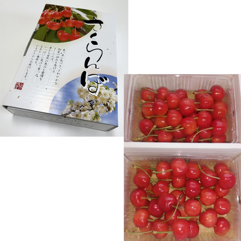 さくらんぼ(佐藤錦) 800g L以上　FY26-076