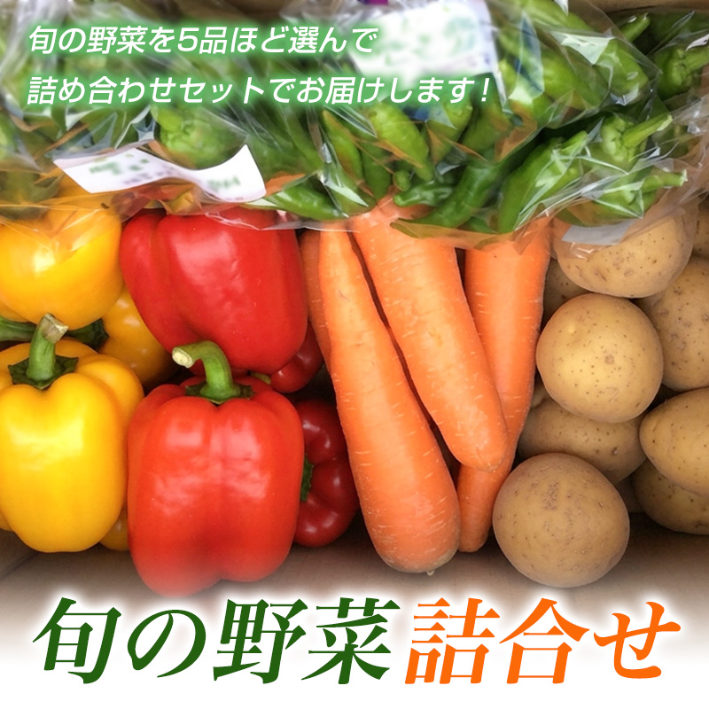 旬の野菜詰合せ【障がい者支援】 FZ19-523