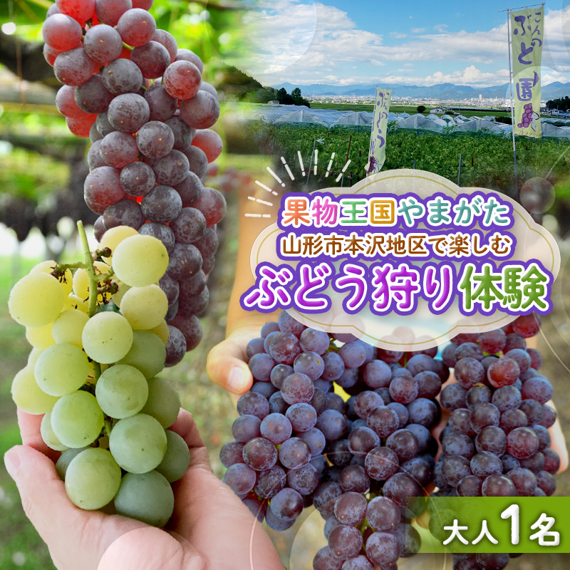 時間無制限！ぶどう狩り体験 (大人1名利用) FY26-094