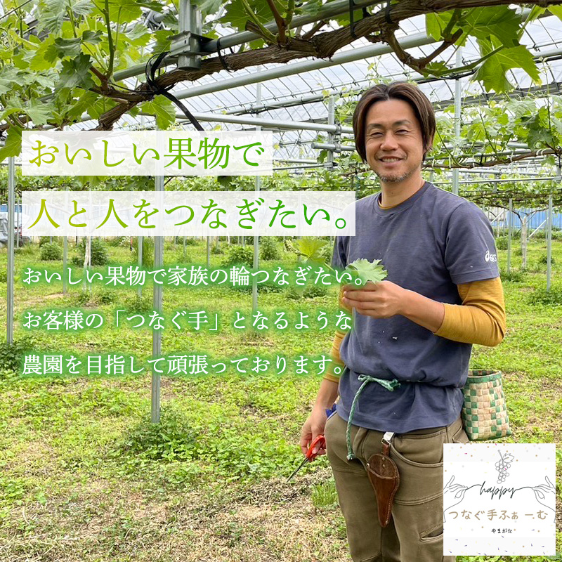 家庭用デラウエア 約1kg 優以上 M～3L (6～8房) FY26-164