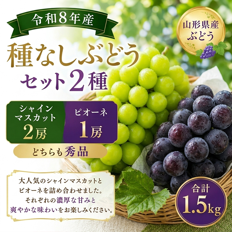 山形産 種なしぶどうセット2種 (シャインマスカット2房とピオーネ1房)秀品 合計1.5kg FY26-173