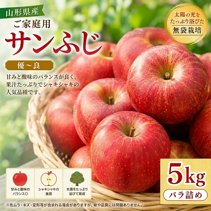 【ご家庭用】 山形産 サンふじりんご 5kg バラ 優～良 無袋栽培 FY26-176