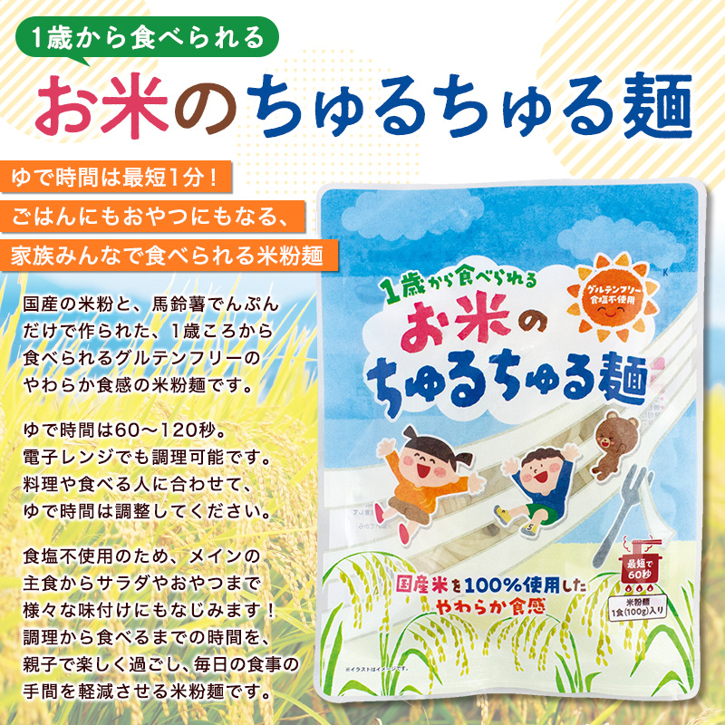 【米粉麺】お米のちゅるちゅる麺 100g×10袋 FY26-113