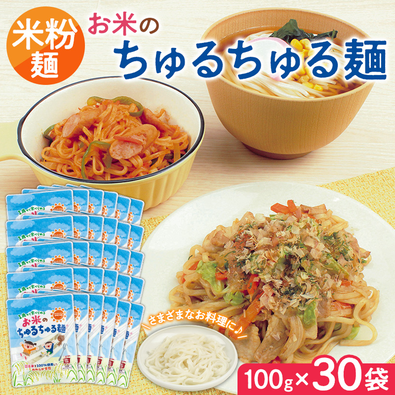 【米粉麺】お米のちゅるちゅる麺 100g×30袋 FY26-115
