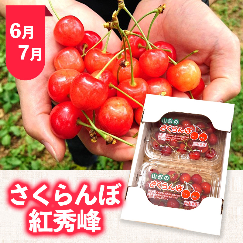 【定期便5回】おいしい！ジューシー！山形フルーツ バラエティ定期便Ａ FY26-216