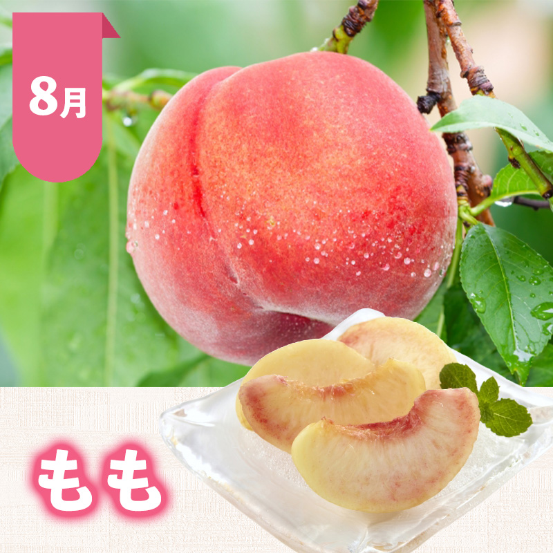 【定期便5回】おいしい！ジューシー！山形フルーツ バラエティ定期便Ａ FY26-216