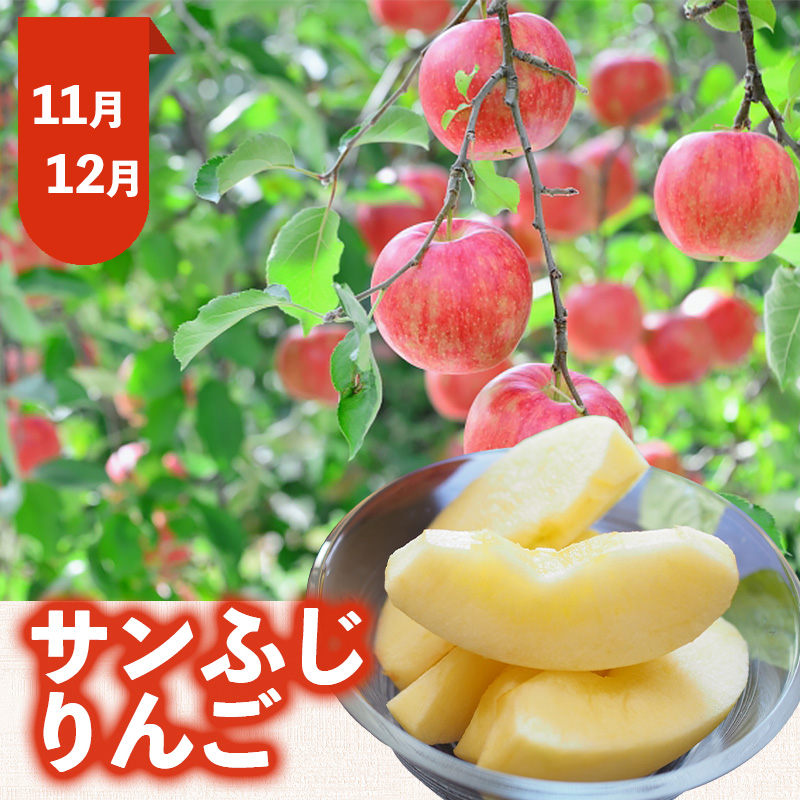 【定期便5回】おいしい！ジューシー！山形フルーツ バラエティ定期便Ａ FY26-216