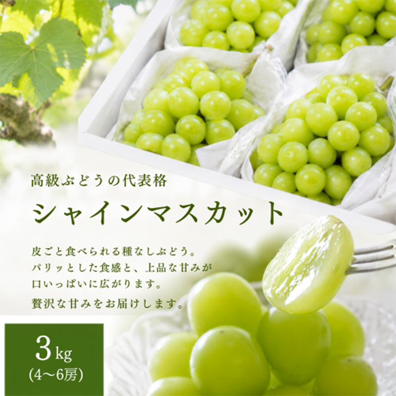 シャインマスカット 約3kg(4～６房) 秀品 FY26-228