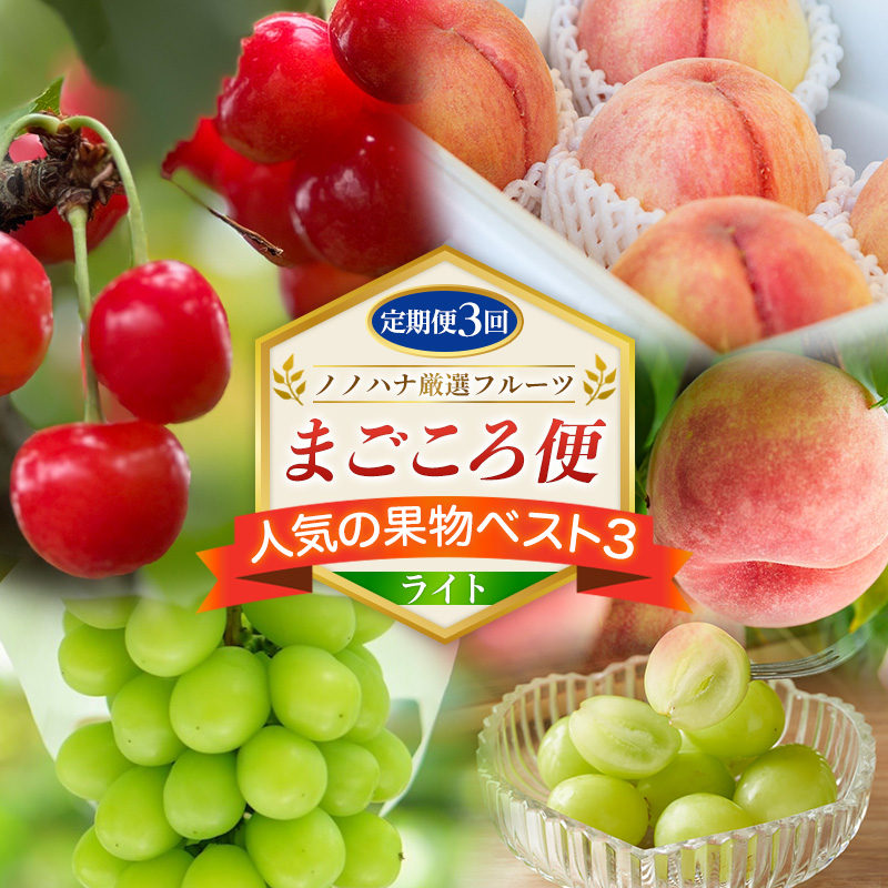 【定期便3回】ノノハナ厳選フルーツ まごころ便 人気の果物ベスト3 ライト  FY26-217
