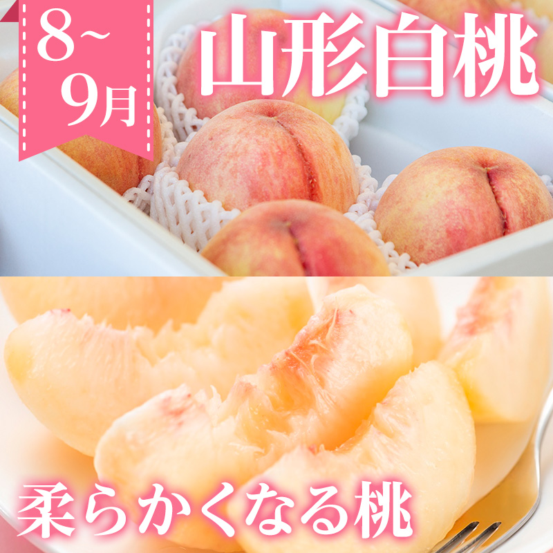 【定期便3回】ノノハナフルーツ 人気のフルーツベスト3 ライト便 FY26-222