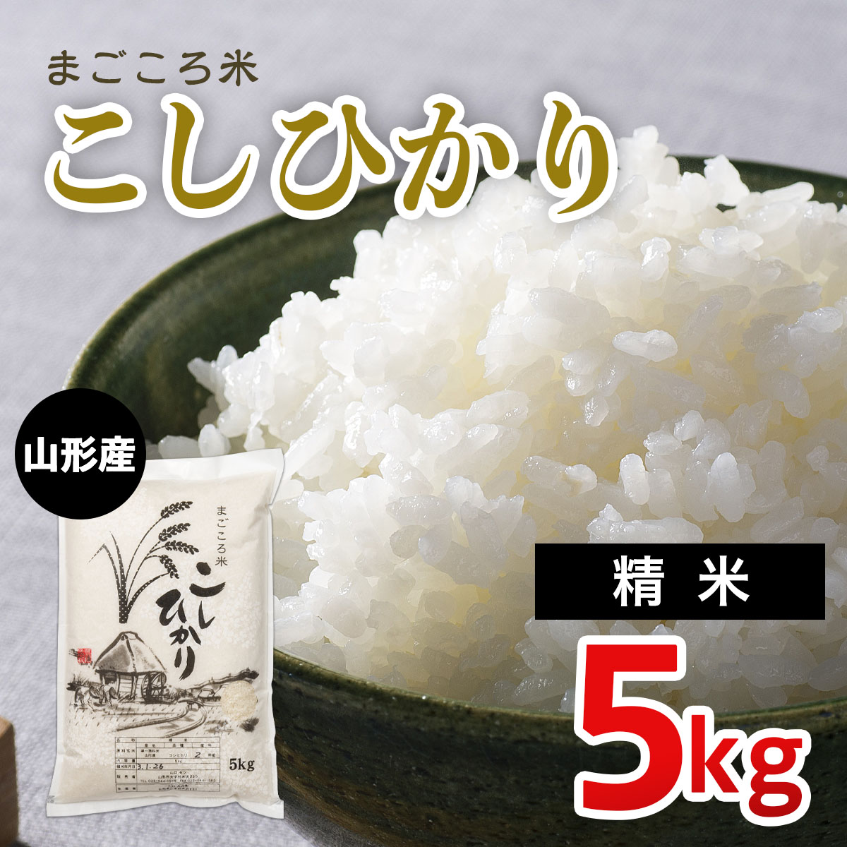 まごころ米こしひかり 5kg FZ20-783
