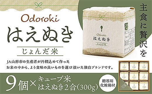 [令和6年産] 「おどろきはえぬき」２合キューブ米９個セット FZ20-583