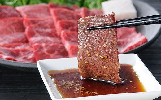 山形牛焼肉セット500g(ヒレ、ロース) FZ20-009