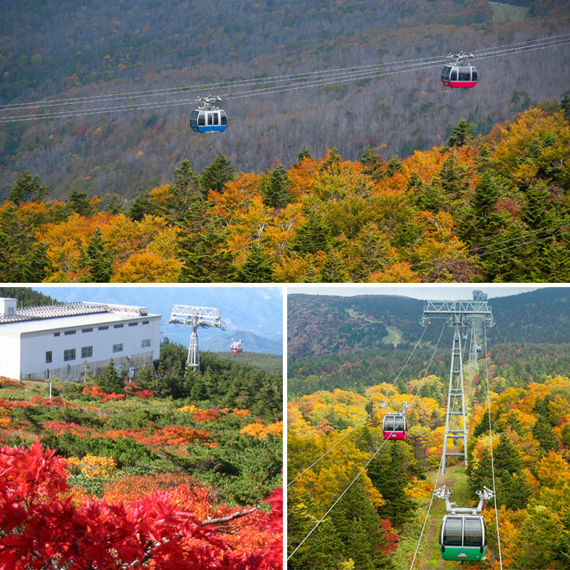 蔵王ロープウェイ乗車券(4区間券)引換券 FZ22-869 蔵王 旅行 山形 山形県 リフト ロープウエイ 樹氷 チケット