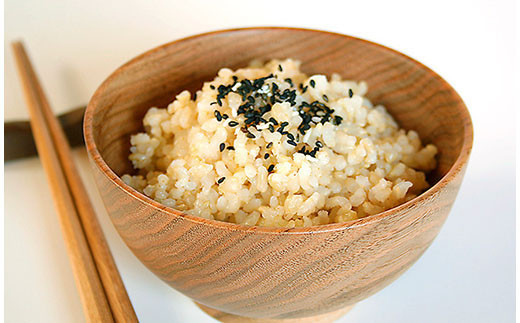 【令和6年産新米】山形県産三銘柄 玄米食べ比べセット(計6kg) FZ20-493