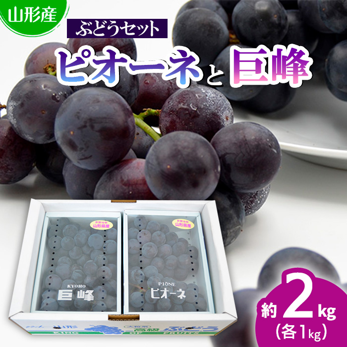 山形のぶどうセット 秀品 約2kg(ピオーネ1kg2房前後・巨峰1kg2房前後)[8月中旬～9月中旬お届け]【令和8年産先行予約】FS24-571
