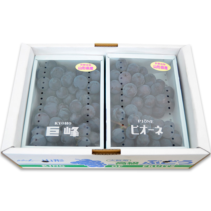 山形のぶどうセット 秀品 約2kg(ピオーネ1kg2房前後・巨峰1kg2房前後)[8月中旬～9月中旬お届け] 【令和7年産先行予約】FS24-571