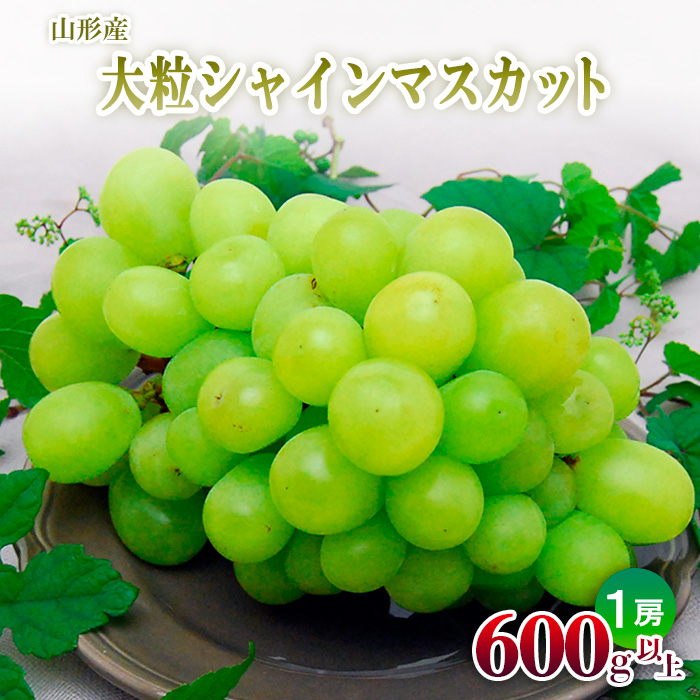 山形の大粒シャインマスカット 1房(600g以上)【令和8年産先行予約】FU22-798