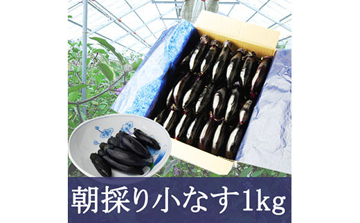 やまがたの朝採り漬物用小なす1kg 漬物の素付き FZ20-172
