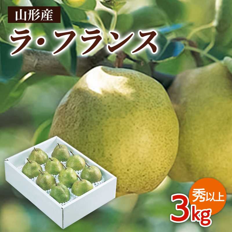 山形市産 ラ・フランス 秀以上 3kg(6～10玉) FZ26-827