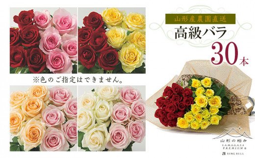 山形産農園直送高級バラ 30本 FZ26-741
