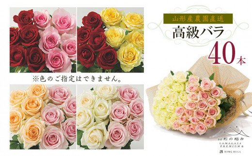 山形産農園直送高級バラ 40本 FZ26-742