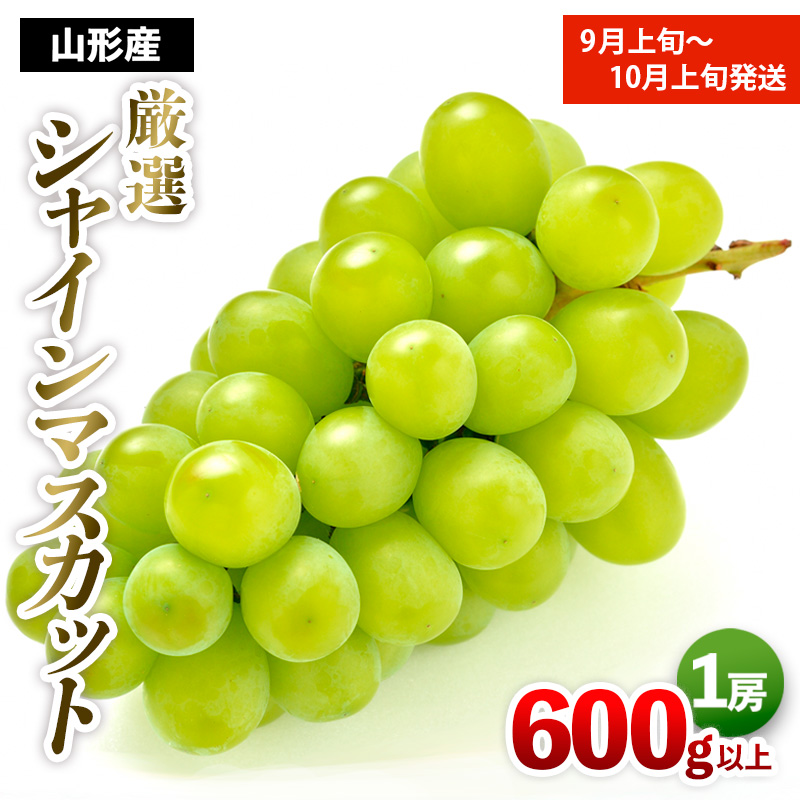 厳選シャインマスカット 秀品 600g以上 1房入 1箱 [前半] 【令和7年産先行予約】FS24-604