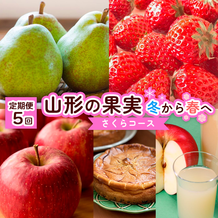 【定期便5回】山形の果実冬から春へ【さくらコース】 FZ20-560