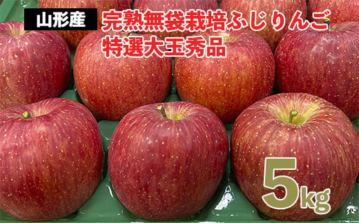 完熟無袋栽培ふじりんご 特選大玉秀品5kg入り FZ20-578