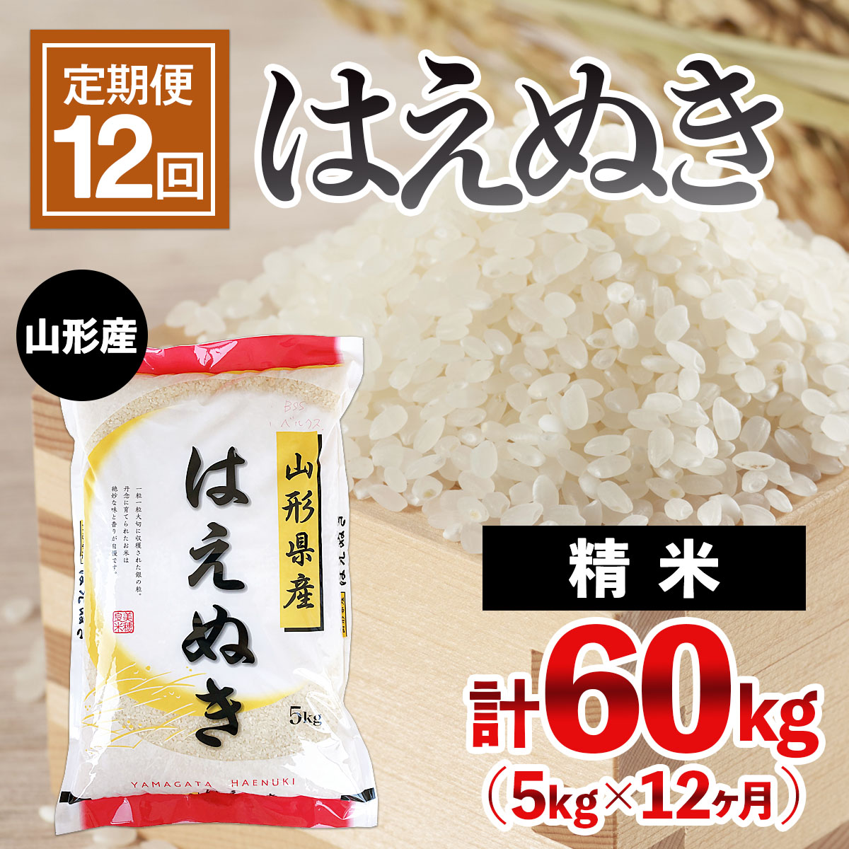 【定期便12回】山形産 はえぬき 5kg×12ヶ月(計60kg) FY24-467