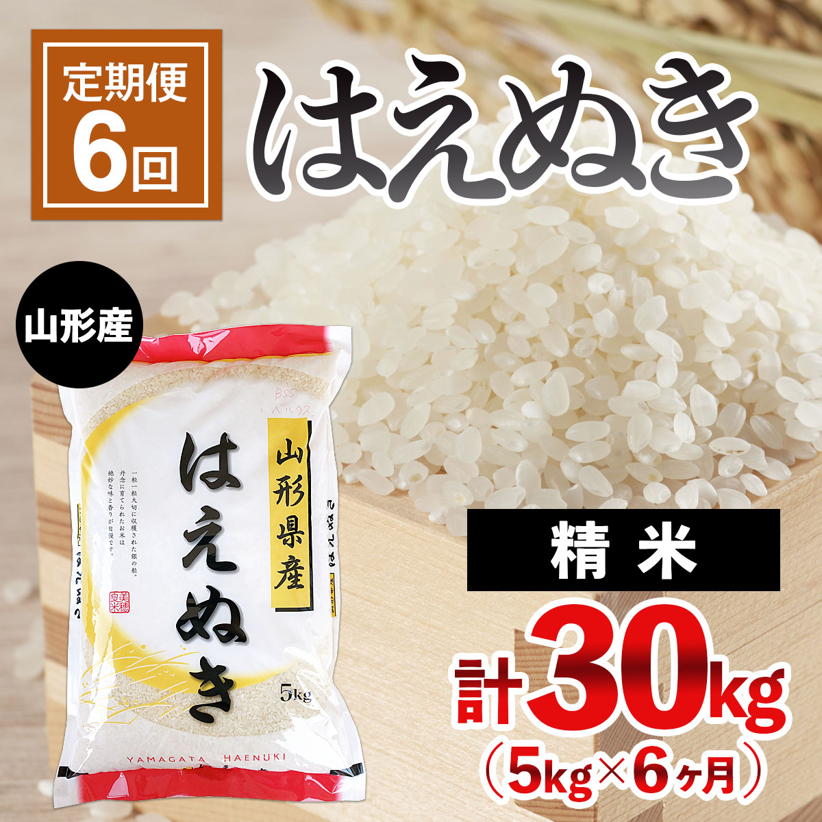 【定期便6回】山形産 はえぬき 5kg×6ヶ月(計30kg) FY24-473