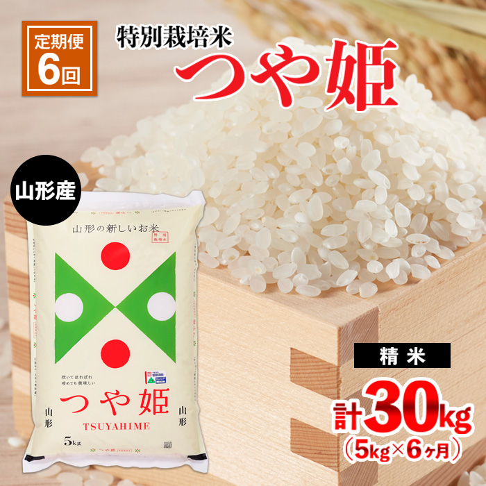 定期便6回】山形産 特別栽培米 つや姫 5kg×6ヶ月(計30kg) FZ21-332|JAL