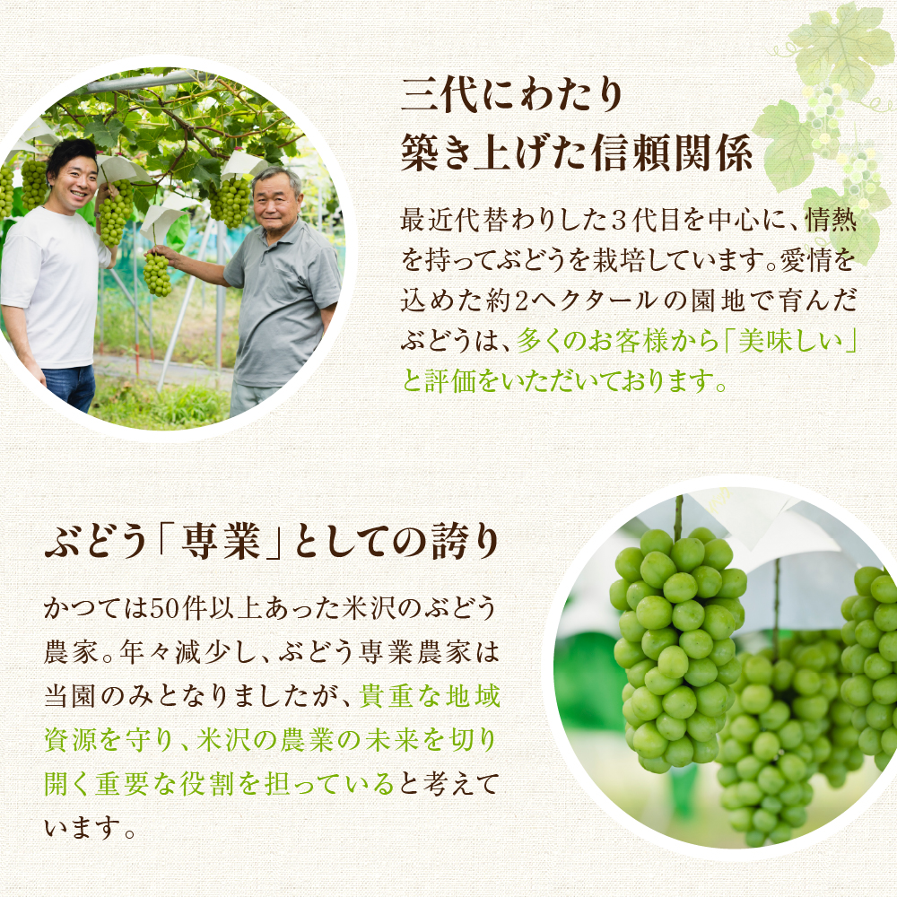 【先行予約】 【定期便】 令和8年産 大玉 シャインマスカット 1房 ( 700g ) × 2回 2026年9月下旬頃～お届け予定