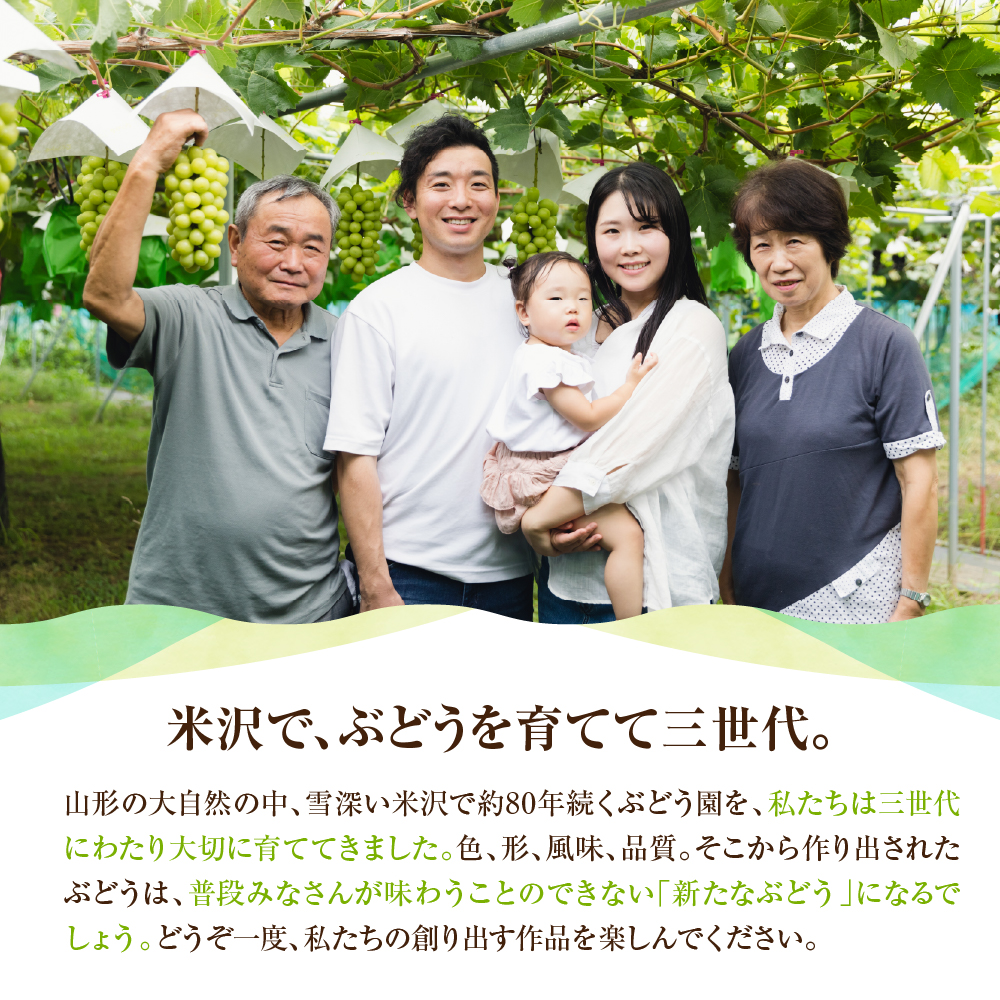 【先行予約】 【定期便】 令和8年産 大玉 シャインマスカット 1房 ( 700g ) × 2回 2026年9月下旬頃～お届け予定