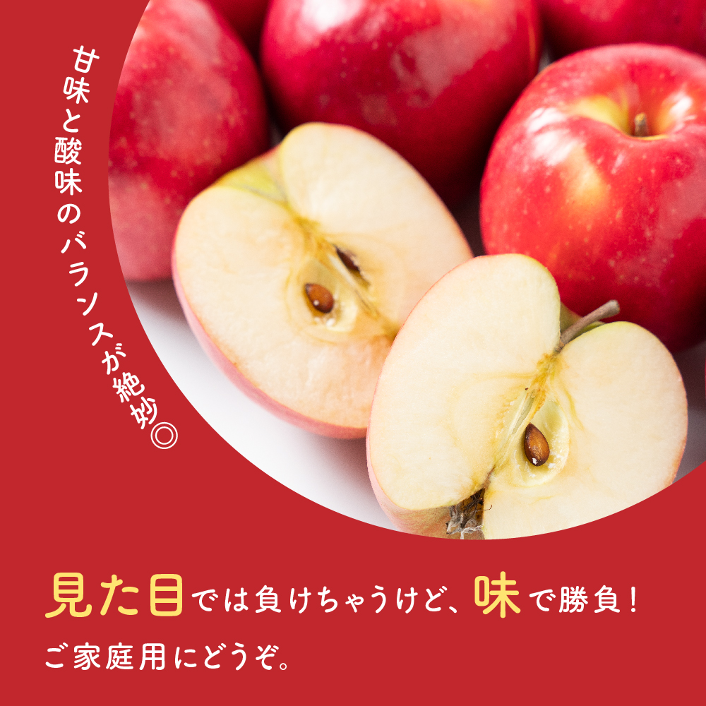 【先行予約】 令和8年産 訳あり りんご サンふじ 約10kg 玉数 お任せ ご家庭用 2026年11月中旬～12月上旬頃 お届け予定 山形県 米沢市