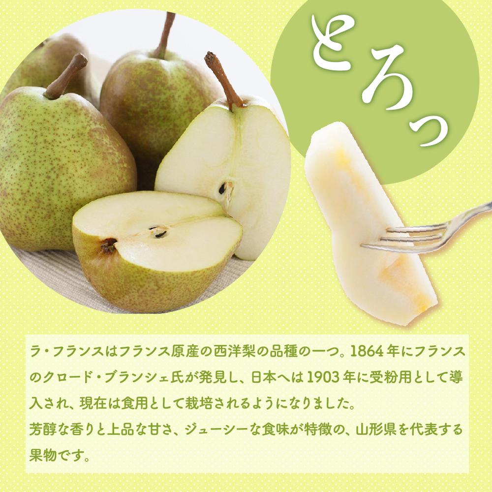 【先行予約】 令和8年産 ラ・フランス 約3kg 8玉 ～ 9玉 西洋梨 2026年11月上旬～12月上旬 お届け予定 山形県 米沢市