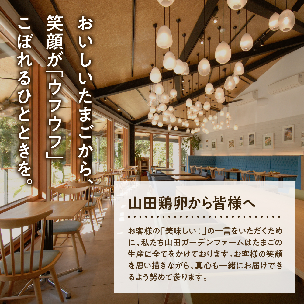 《数量限定》 ウフウフガーデン ブリオッシュ食パン＆マーブル食パン 各1本(1本1.5斤) 計2本 パン 卵 たまご タマゴ 紅花たまご 朝ご飯 朝ごはん 朝食 山形県 米沢市