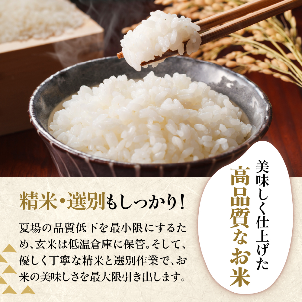 令和7年産 はえぬき 5kg（5kg×1袋）お米マイスター厳選米 2025年産