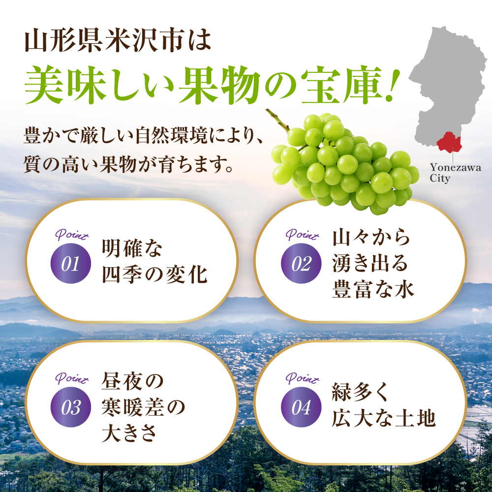 【先行予約】 【定期便】 令和8年産 大玉 シャインマスカット 1房 ( 700g ) × 2回 2026年9月下旬頃～お届け予定