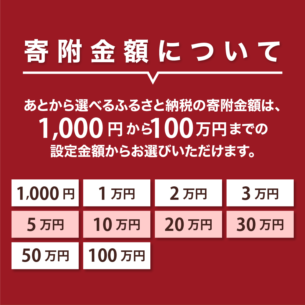 縺ゅ→縺九i繧サ繝ャ繧ッ繝 蠕後°繧蛾∈縺ケ繧 縺オ繧九&縺ィ繧ョ繝輔ヨ 蟇髯鬘300,000蜀蛻 螻ア蠖「逵 邀ウ豐「蟶