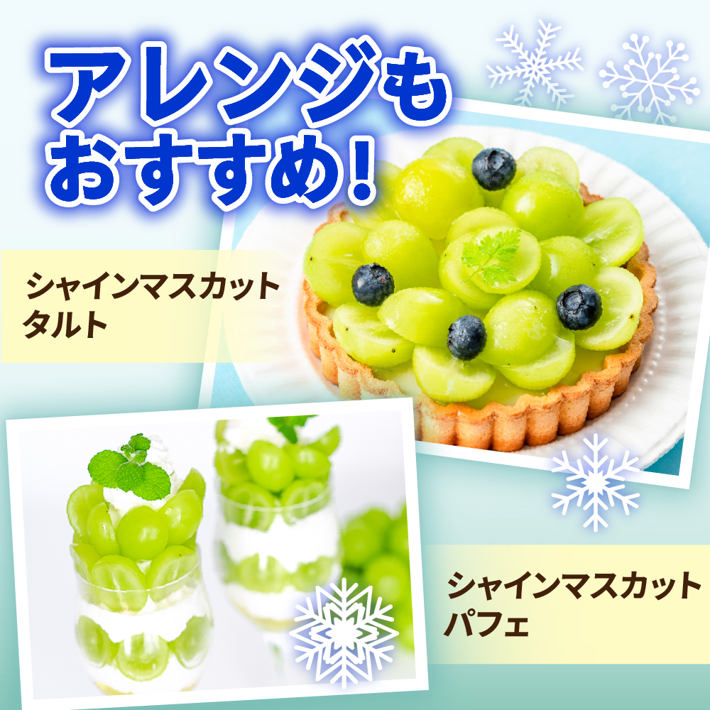 ãå
è¡äºçŽã ãæ°ééå®ã 什å8å¹Žç£ ã·ã£ã€ã³ãã¹ã«ãã 210g à 3ããã¯ èš 630g 2026幎9æäžæ¬é ïœãå±ãäºå®