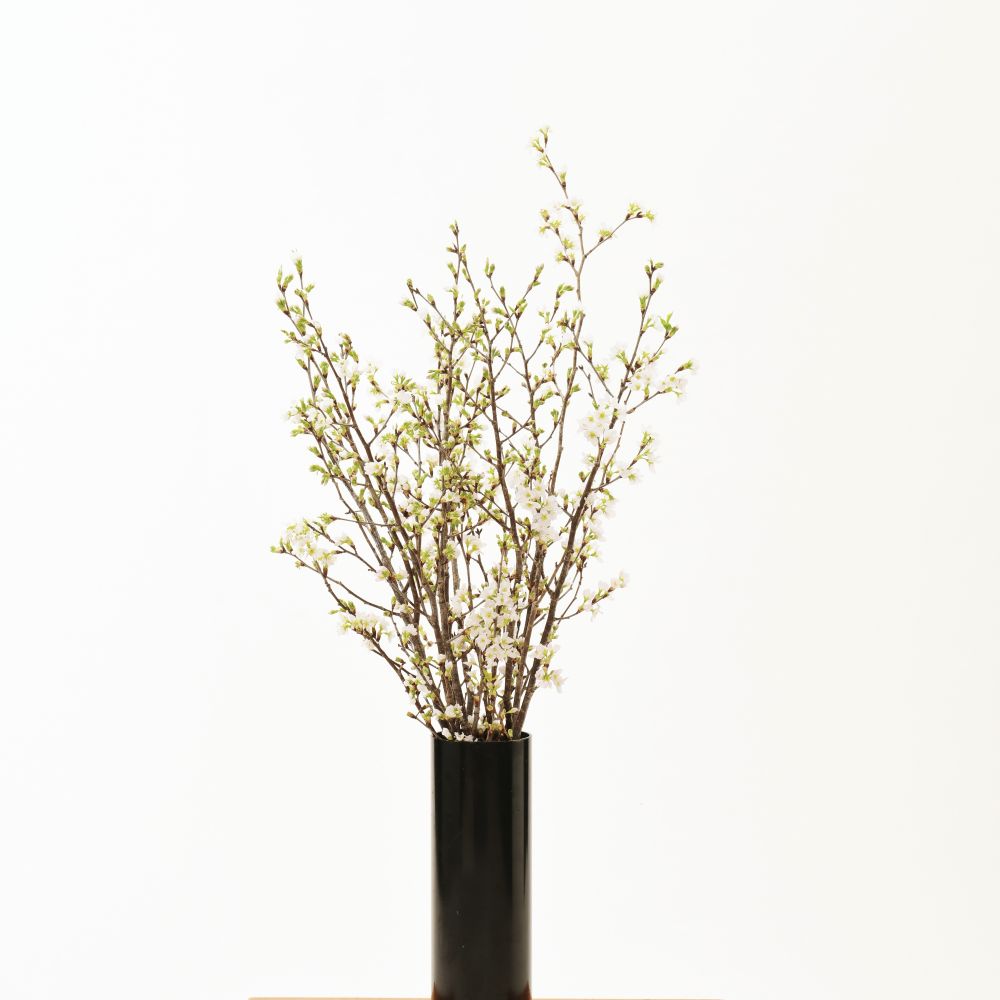 縲仙郁。御コ育エ縲 縲舌イ縺ェ縺セ縺、繧顔畑縲 蝠鍋ソ∵。 ( 縺代>縺翫≧縺悶¥繧 ) 80cmテ8譛ャ 蛻繧願干 2026蟷エ2譛井ク区流鬆縺雁ア翫¢