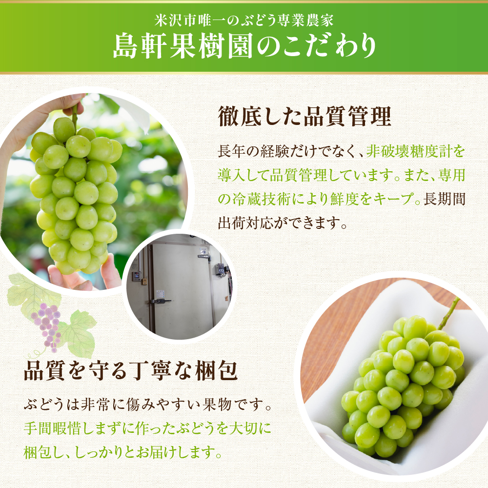 【先行予約】 【定期便】 令和8年産 大玉 シャインマスカット 1房 ( 700g ) × 2回 2026年9月下旬頃～お届け予定