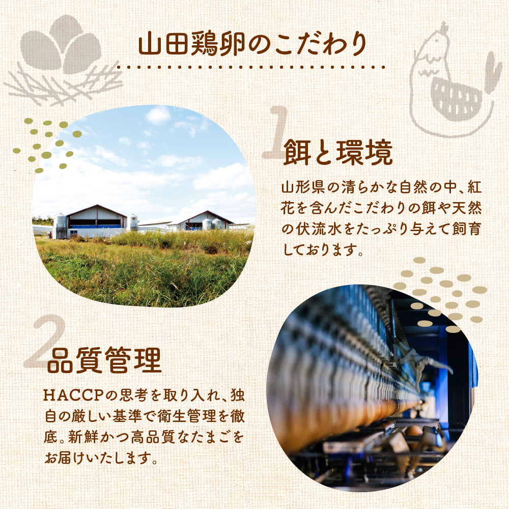 【6ヶ月定期便】 紅花たまご 30個セット (10個×3パック)/月 計180個