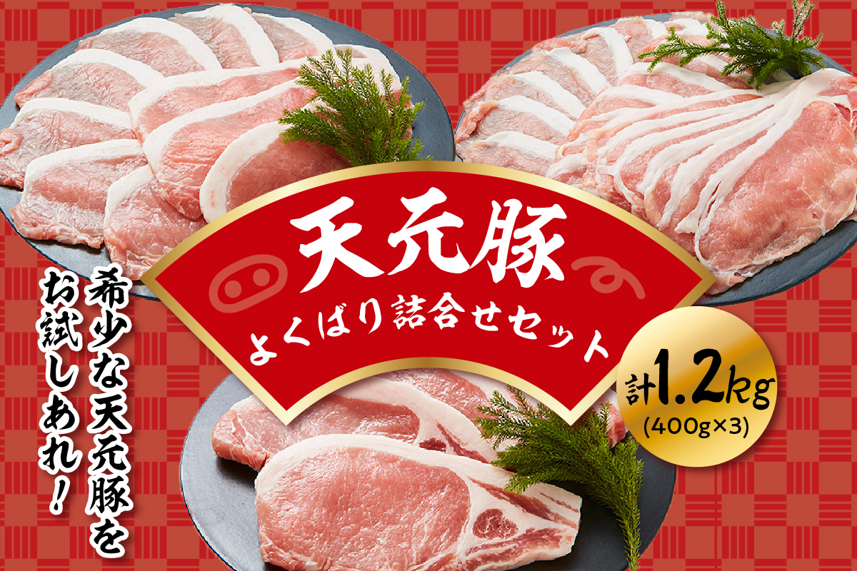 天元豚 よくばり詰合せセット 計1.2kg しゃぶしゃぶ 焼肉 とんかつ 豚肉 しゃぶしゃぶ 焼肉 とんかつ 食べ比べ 詰め合わせ 便利 小分け ブランド豚 安全 ヘルシー ポーク 低カロリー おかず お取り寄せ 送料無料 東北 山形県 米沢市