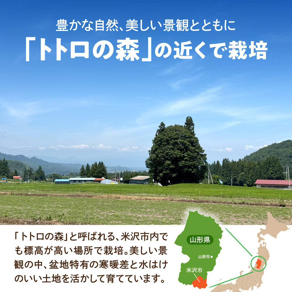 ãå
è¡äºçŽã 什å8å¹Žç£ èµ€èã¡ãã³ ( ã¯ã€ã³ã·ãŒ719 ) 1ç 2kgä»¥äž 2026幎7æäžæ¬ïœ8æäžæ¬é ãå±ãäºå®