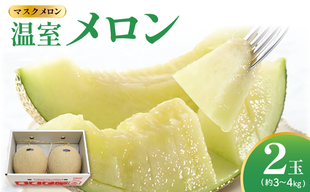 【先行予約】 【数量限定】 令和8年産 温室 メロン マスクメロン 2玉 ( 約3～4kg ) 2026年9月上旬～中旬頃 お届け予定 山形県 米沢市