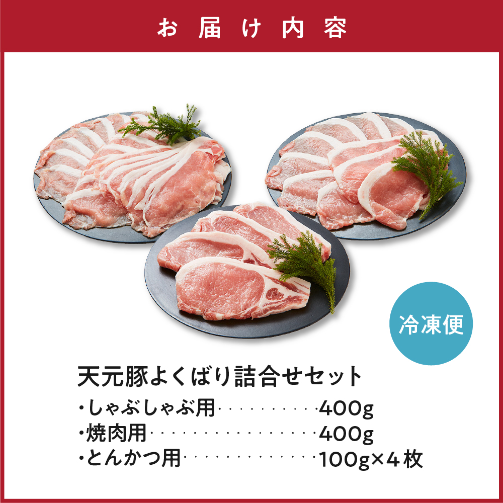 天元豚 よくばり詰合せセット 計1.2kg しゃぶしゃぶ 焼肉 とんかつ 豚肉 しゃぶしゃぶ 焼肉 とんかつ 食べ比べ 詰め合わせ 便利 小分け ブランド豚 安全 ヘルシー ポーク 低カロリー おかず お取り寄せ 送料無料 東北 山形県 米沢市